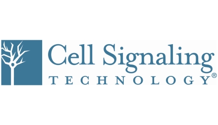 Cell Signaling Technology Europe, B.V.